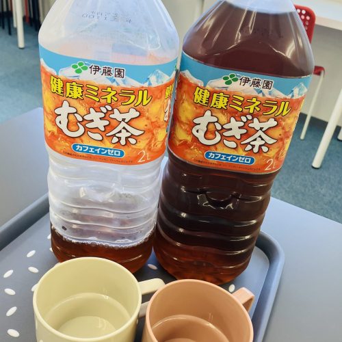 モーニング麦茶🥤